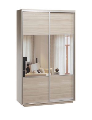Шафа-купе Дарвін-2 220х140