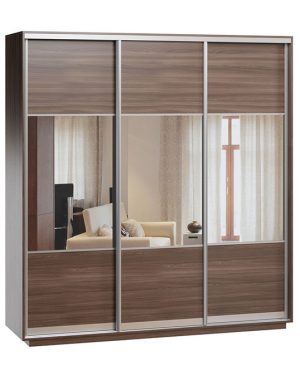 Шафа-купе Дарвін-3 220х240