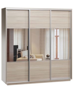 Шафа-купе Дарвін-3 220х210