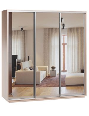 Шафа-купе Монако-3 220х210